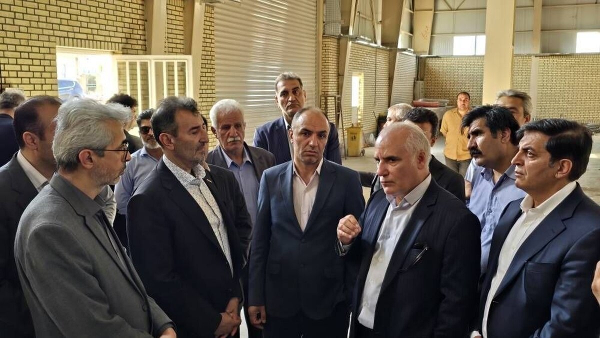بازدید سمیعی‌نژاد از طرح‌های معدنی و صنعتی لرستان