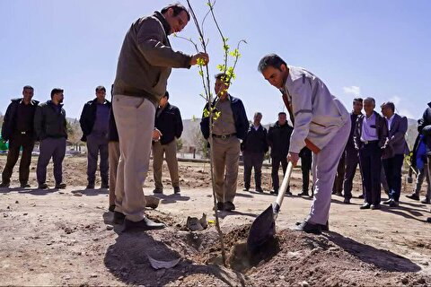 همچنان «ریشه در وطن داریم»