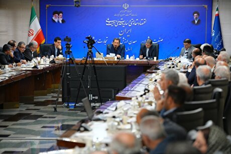 مطالبات تولیدکنندگان با اولویت در هیأت دولت پیگیری می‌شود